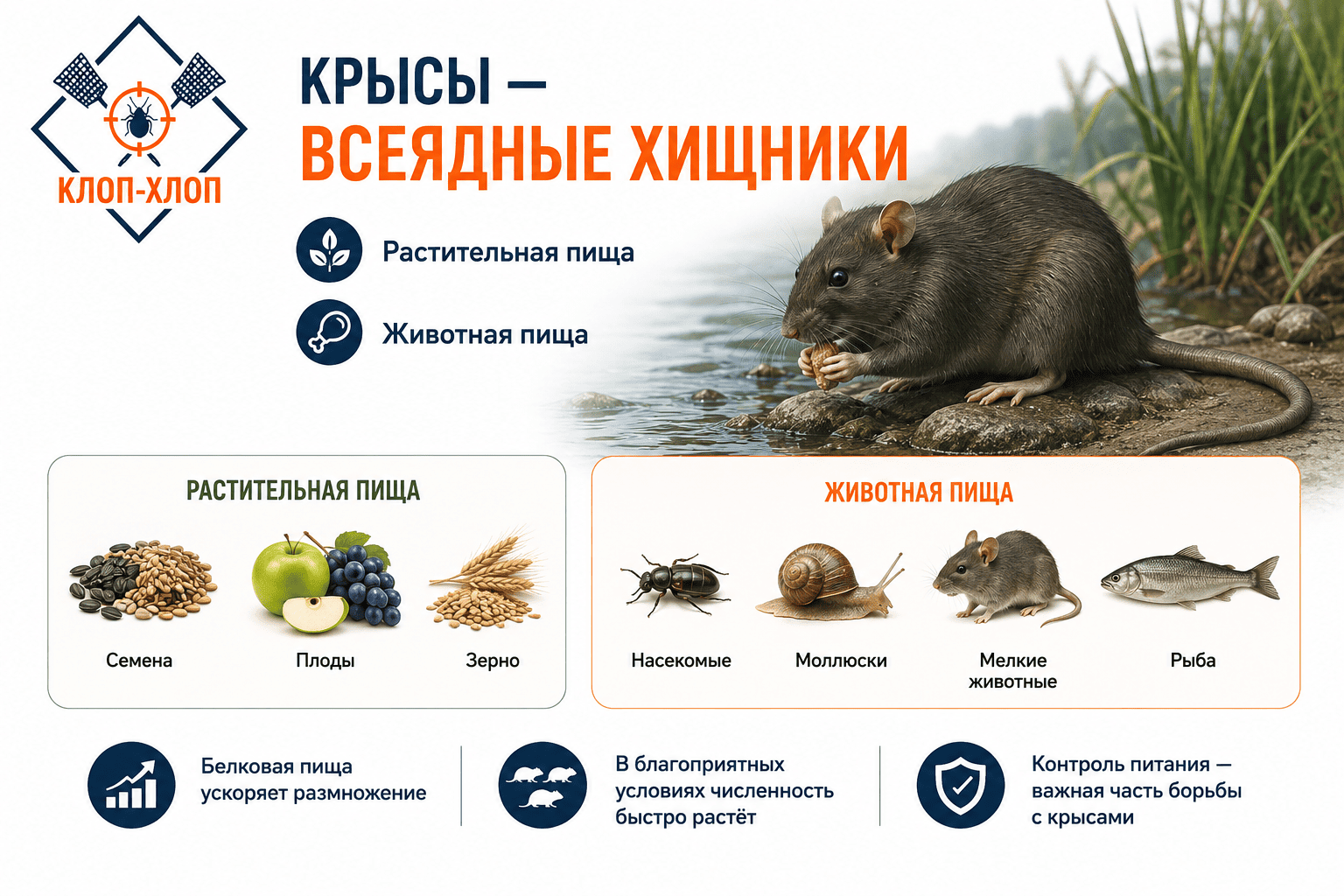 Образ жизни, размножение и питание